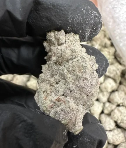Snow Caps Smalls