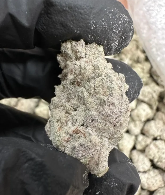 Snow Caps Smalls